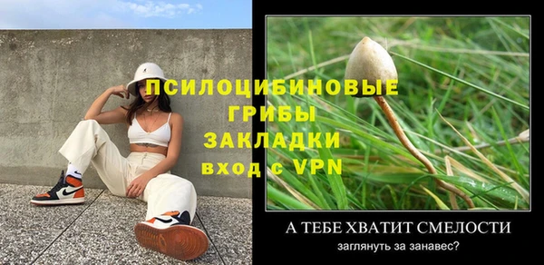дмт Алзамай
