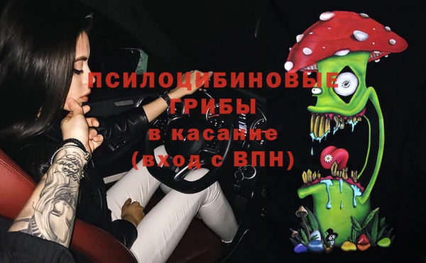 дмт Алзамай
